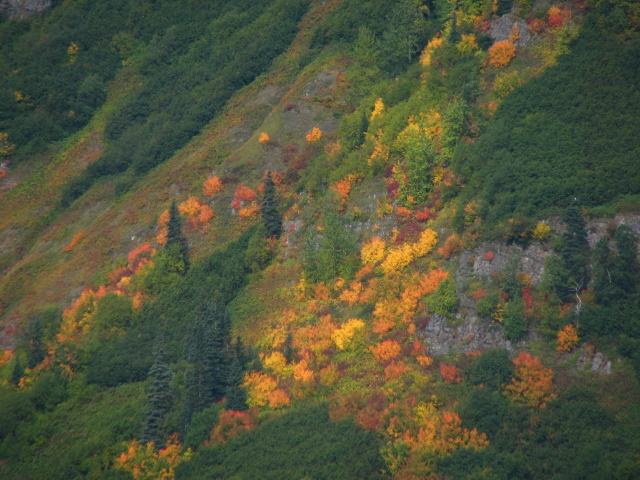 mtn.pic