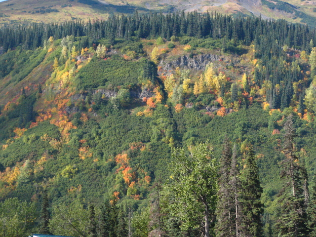 mtn.pic