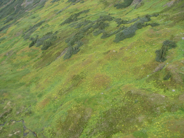 air photo